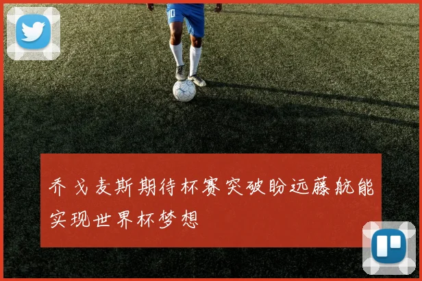 乔戈麦斯期待杯赛突破盼远藤航能实现世界杯梦想