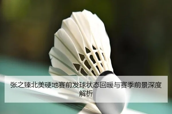 张之臻北美硬地赛前发球状态回暖与赛季前景深度解析